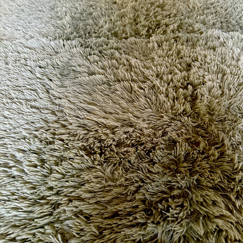 Soft Green Shag Rug - Picture 2 of 6